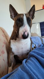 20250502_065116.jpg 20250502_065116.jpg