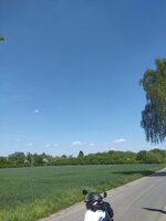 04,05 pa1_144717.jpg