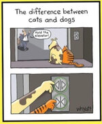 IMG_0105.JPEG IMG_0105.JPEG