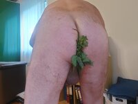 20250417_172239.jpg 20250417_172239.jpg