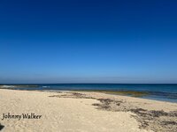 J.W. Einsam am Strand.jpg