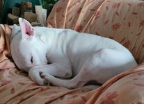 20250510_201642.jpg 20250510_201642.jpg