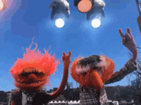 muppets-rock.gif muppets-rock.gif