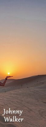 J.W. Hand an der Sonne.jpg