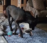 IMG_20250511_082346.jpg IMG_20250511_082346.jpg