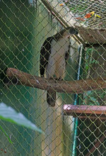 Mindanao040.jpg Mindanao040.jpg