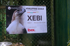 Mindanao041.jpg Mindanao041.jpg