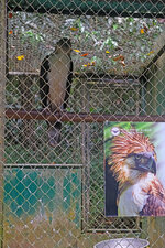 Mindanao042.jpg Mindanao042.jpg