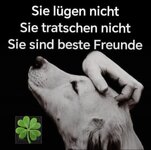 Screenshot_20250507_161132_Samsung Internet.jpg