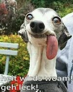 Screenshot_20250508_221453_Facebook.jpg
