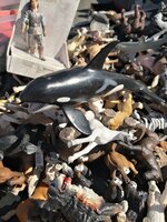 IMG_20250511_100010.jpg IMG_20250511_100010.jpg