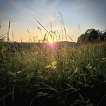 2025-05-11 20.17.52-1.jpg