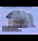 1747102276818.png