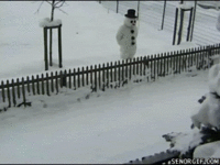 1000059399.gif