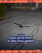 1747129420728.jpeg