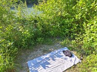20250513_174714.jpg