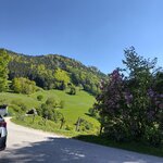IMG_20250513_155354_HDR.jpg