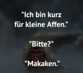 Screenshot 2025-05-16 083354.png