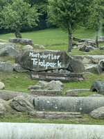 IMG_4038.jpeg