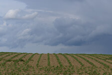 DSC_7807.jpg