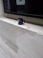 IMG_20250519_102231.jpg