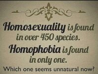 1747656730895.jpeg 1747656730895.jpeg