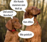 Screenshot 2025-05-20 170339.png