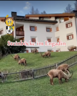 1748164193216.png 1748164193216.png