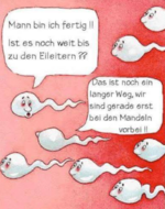 Screenshot 2025-05-20 214708.png