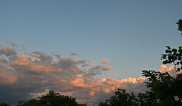 DSC_8822.jpg