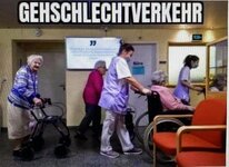 IMG_7387.jpeg