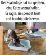 Screenshot 2025-05-28 161741.png