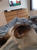 IMG_20250529_072951.jpg