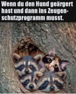 Screenshot 2025-05-30 175932.png