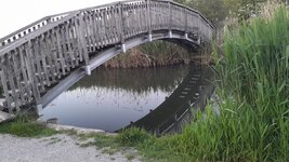IMG_20250530_204722_967.jpg