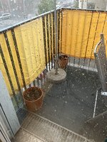 IMG_0217.jpeg