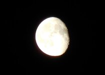 203.JPG
