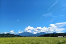 20250529 (34).jpg