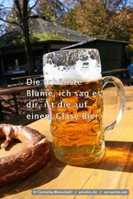 04528a3c-06a7-4a9d-b285-e94c303e3092.jpeg