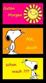 FB_IMG_1696747369596.jpg