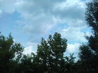 IMG_20250607_153632_HDR.jpg