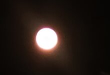 IMG_20250612_002116.jpg