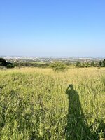 IMG_3655.jpeg