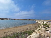 20250608_095019.jpg