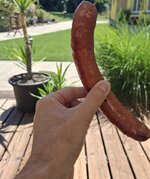 20250614_141551.jpg