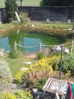 IMG_20250615_104908.jpg