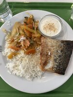 IMG_0314.jpeg