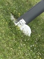 IMG_8288.jpeg