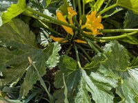 1000119994.jpg 1000119994.jpg