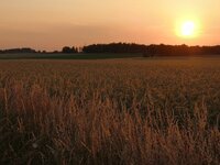 IMG_20250620_210849.jpg